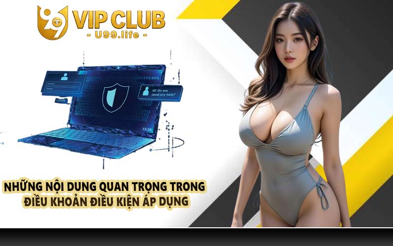 Những nội dung quan trọng trong điều khoản điều kiện áp dụng